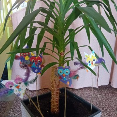 17292779476984_Messenger_creation_D1654EF5-E078-494D-AC95-5264B43001A6_web.jpg