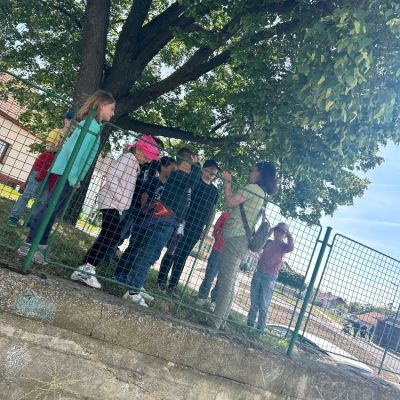 Prvouka venku - 3. ročník