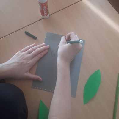 PČ 5. ročník