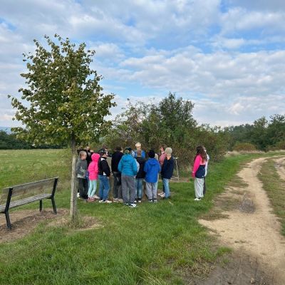 VV - 4. a 5. ročník (výuka venku)