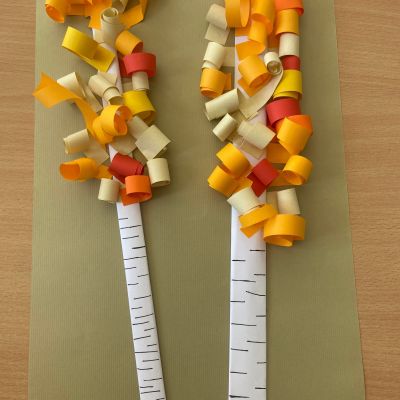 PČ 2. a 4. ročník