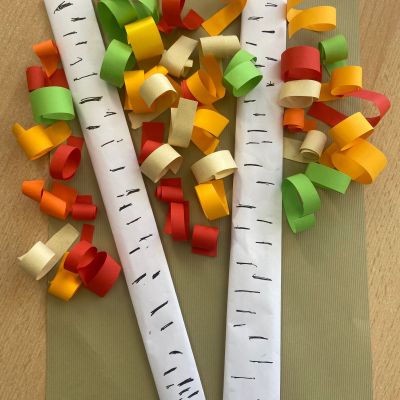 PČ 2. a 4. ročník