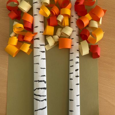 PČ 2. a 4. ročník