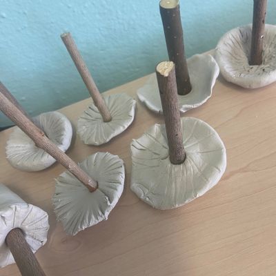 PČ 2. a 4. ročník