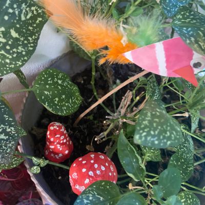 PČ 2. a 4. ročník