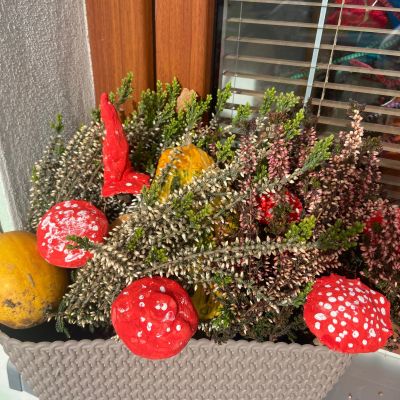 PČ 2. a 4. ročník