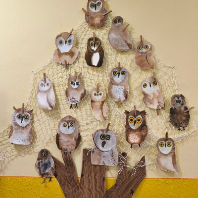 VV - 4. a 5. ročník