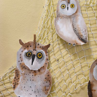 VV - 4. a 5. ročník