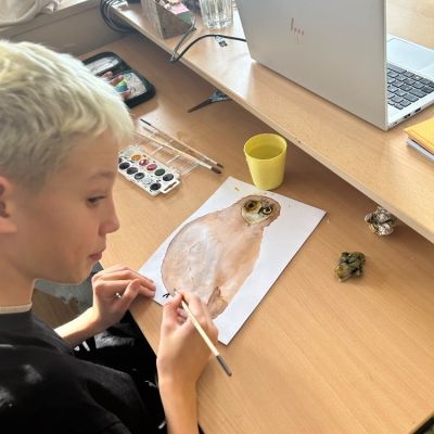 VV - 4. a 5. ročník 