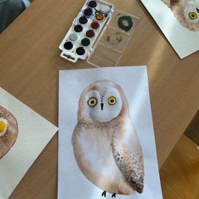 VV - 4. a 5. ročník 