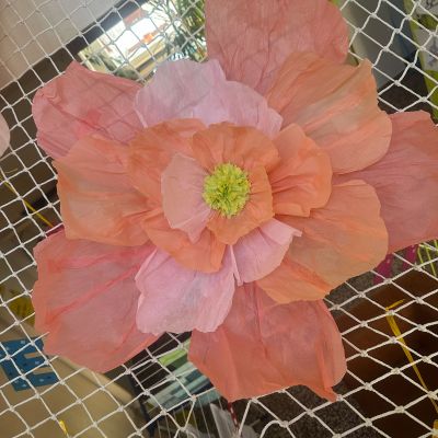 PČ 2. a 4. ročník