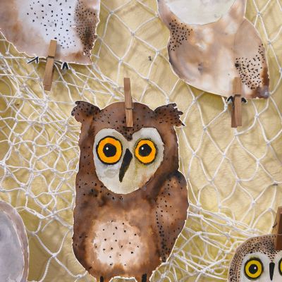 VV - 4. a 5. ročník