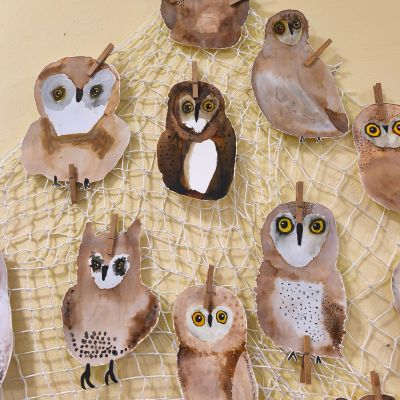 VV - 4. a 5. ročník