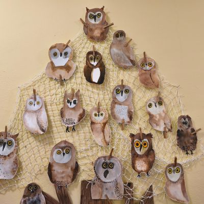 VV - 4. a 5. ročník