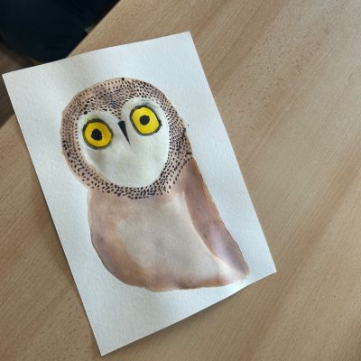 VV - 4. a 5. ročník 