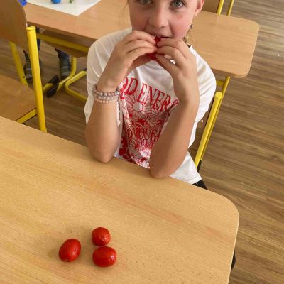 ochutnávka zeleniny ze školní zahrádky