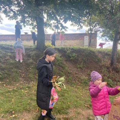 I. a II. oddělení - sbírání přírodnin