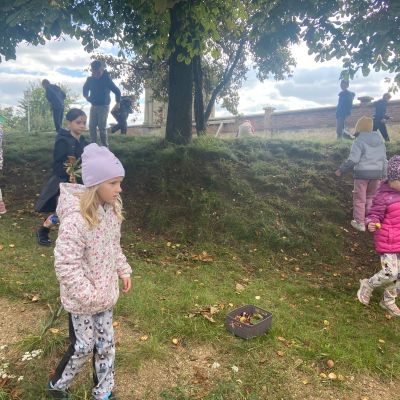 I. a II. oddělení - sbírání přírodnin