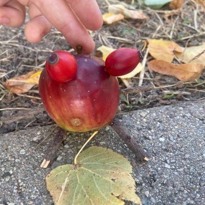 II. oddělení - tvoříme z přírodnin