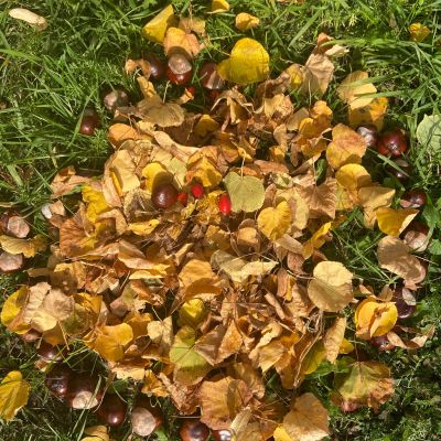 II. oddělení - tvoříme z přírodnin