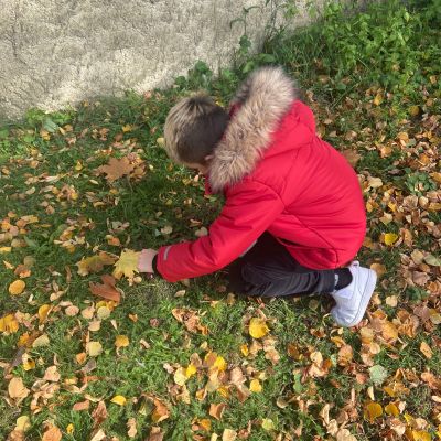 II. oddělení - tvoříme z přírodnin