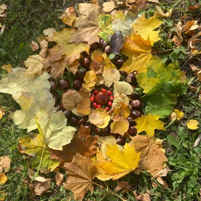 II. oddělení - tvoříme z přírodnin