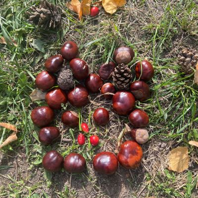 II. oddělení - tvoříme z přírodnin