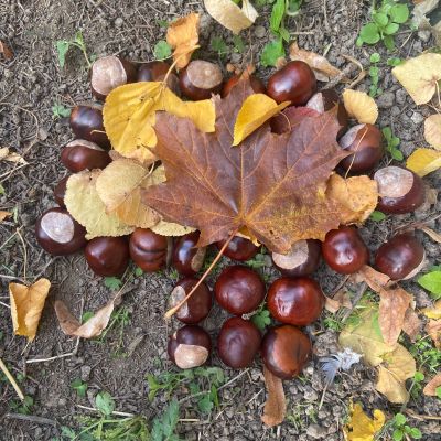 II. oddělení - tvoříme z přírodnin