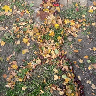 II. oddělení - tvoříme z přírodnin