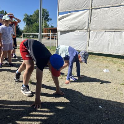 17806950873876_IMG_8247.JPG