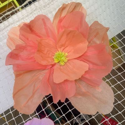 PČ - 2. a 4. ročník