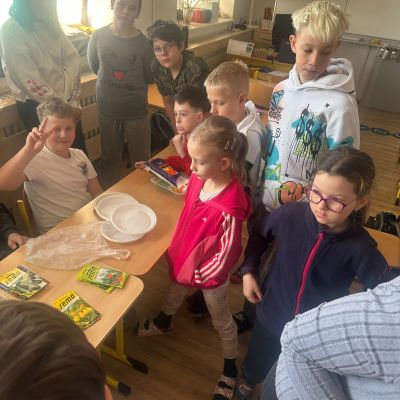 VL - Bedýnková zahrádka a setí řeřichy