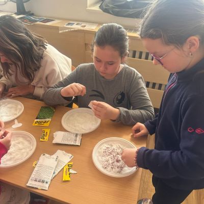 VL - Bedýnková zahrádka a setí řeřichy