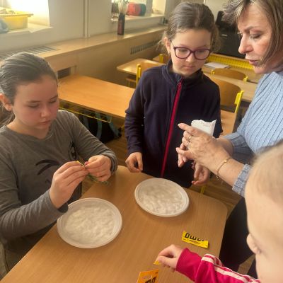 VL - Bedýnková zahrádka a setí řeřichy