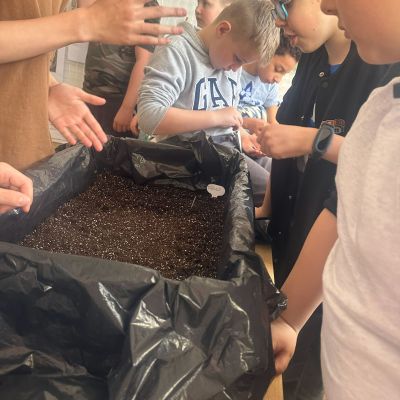 VL - Bedýnková zahrádka a setí řeřichy