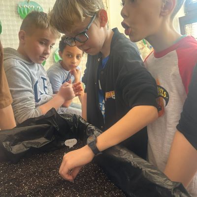 VL - Bedýnková zahrádka a setí řeřichy