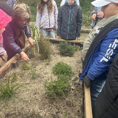 VL - 4. a 5. ročník