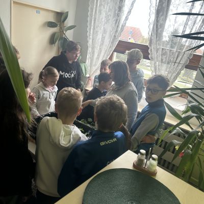 VL - 4. a 5. ročník