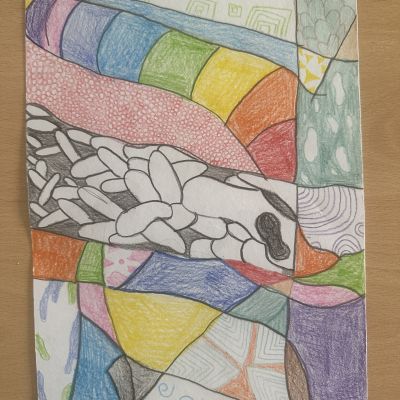 Vv - 4. a 5. ročník