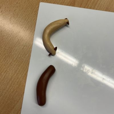 PČ - 3. a 5. ročník - 