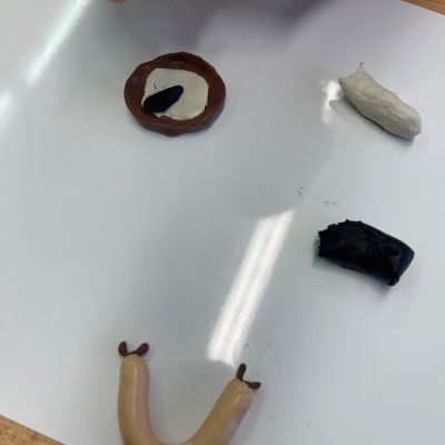 PČ - 3. a 5. ročník - 