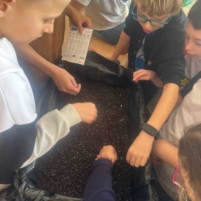 VL - Bedýnková zahrádka a setí řeřichy