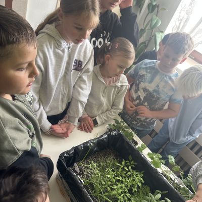 VL - 4. a 5. ročník