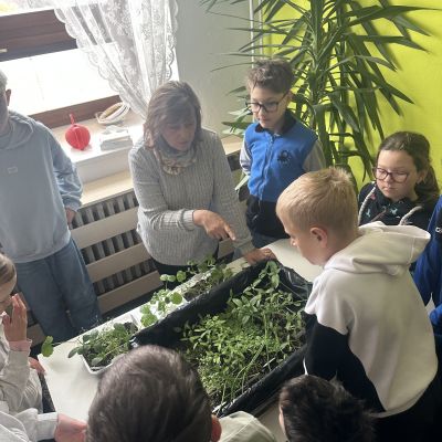 VL - 4. a 5. ročník