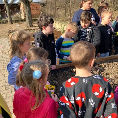 školní zahrádka v&nbsp;MŠ