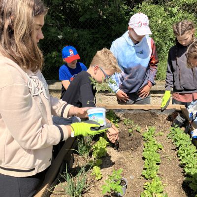 Zahrádka