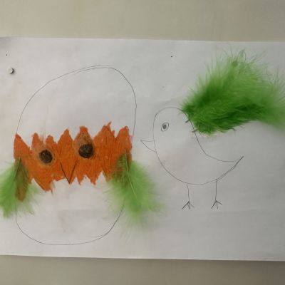17747201905246_IMG_1709.JPG