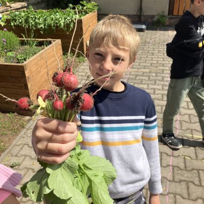 Zahrádka
