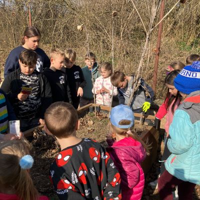 školní zahrádka v&nbsp;MŠ