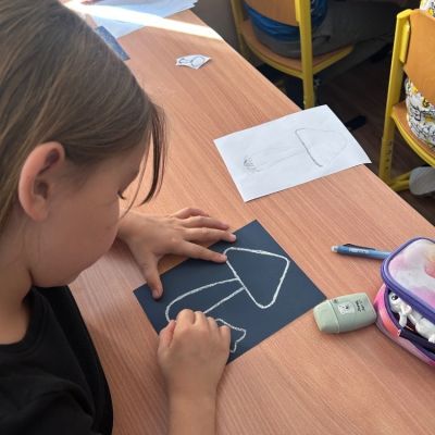 VV - houby - 4. a 5. ročník